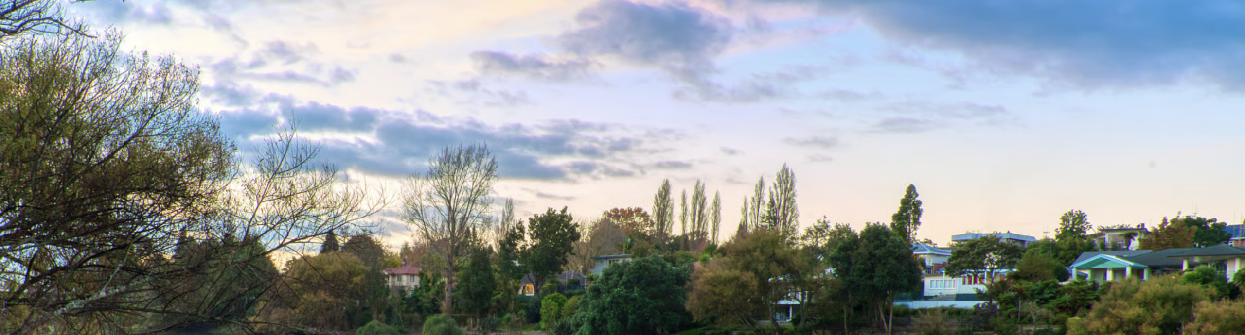 header-image