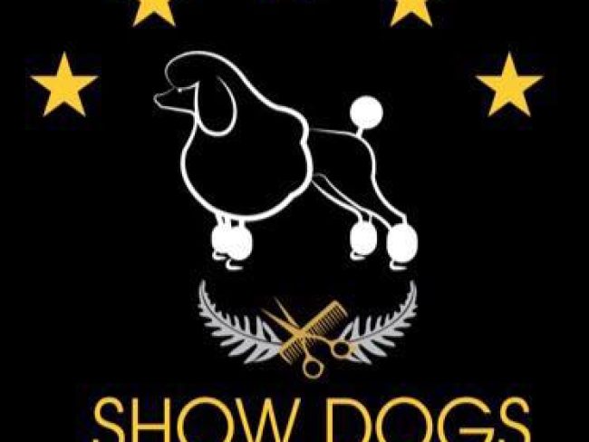 Show Dogs NZ