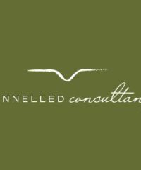 Channelled Consultancy