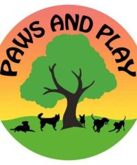 Paws and Play