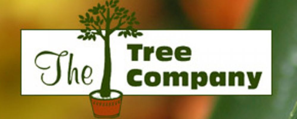 The Tree Company Joins Mosttrusted | Most Trusted