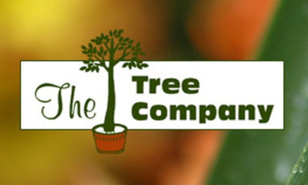 Protected: The Tree Company Joins Mosttrusted